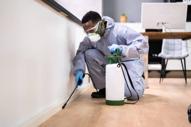 Best Fumigation Services  in Superior, CO